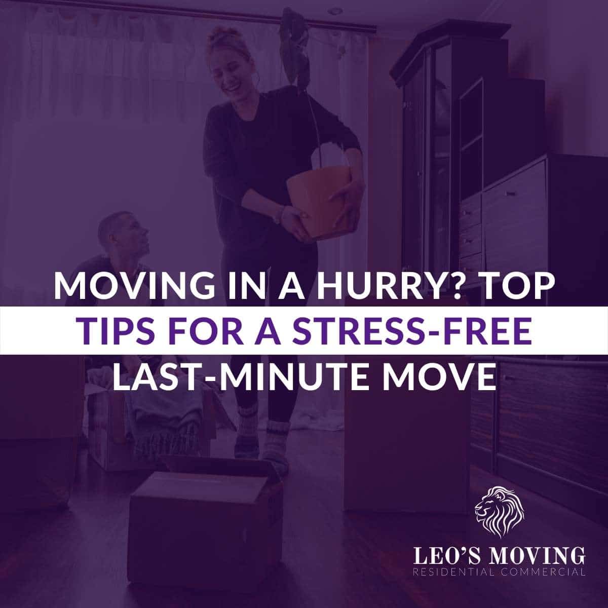 Moving In a Hurry Top Tips For a Stress-Free Last-Minute Move